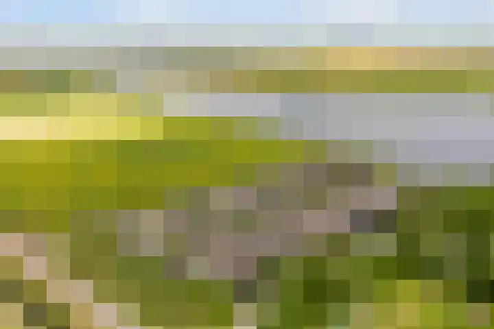 De Burd 25 B 004 Heeg thumbnail 58