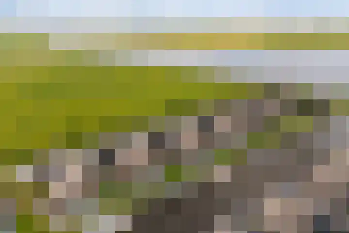 De Burd 25 B 004 Heeg thumbnail 59