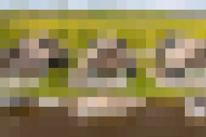 De Burd 25 B 004 Heeg thumbnail 60