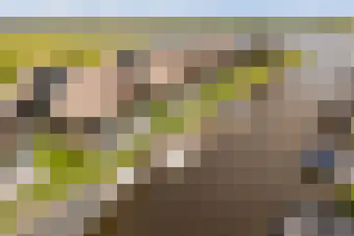 De Burd 25 B 004 Heeg thumbnail 61