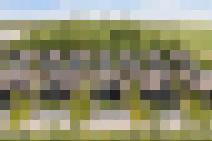 De Burd 25 B 004 Heeg thumbnail 62