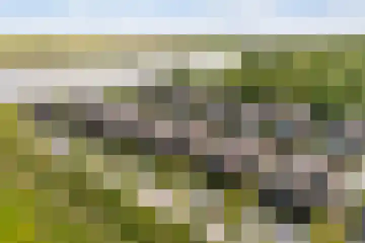 De Burd 25 B 004 Heeg thumbnail 63