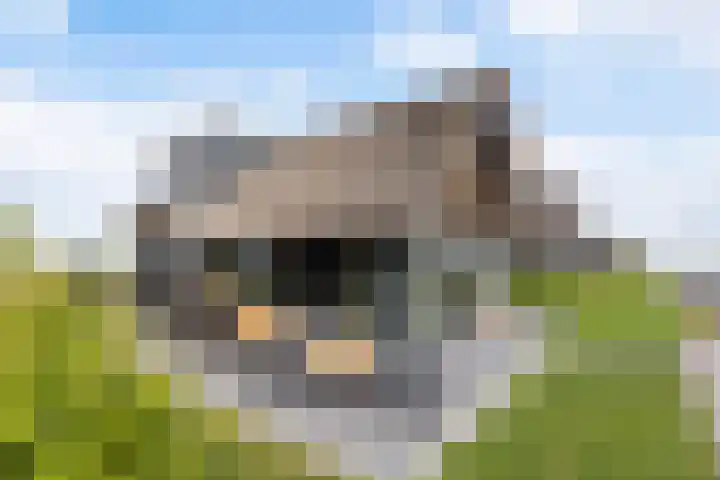 De Burd 25 B 004 Heeg thumbnail 65