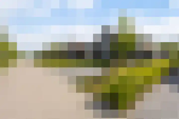 De Burd 25 B 004 Heeg thumbnail 66