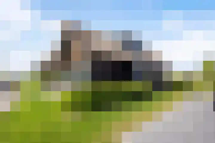 De Burd 25 B 004 Heeg thumbnail 67
