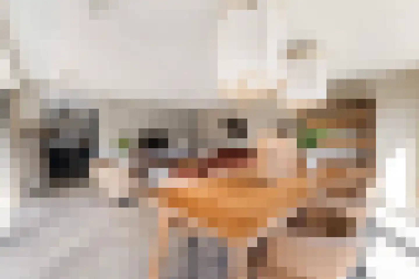 De Burd 25 B 005 Heeg thumbnail 17