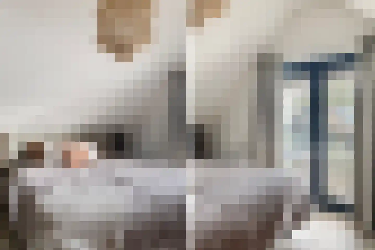 De Burd 25 B 005 Heeg thumbnail 37