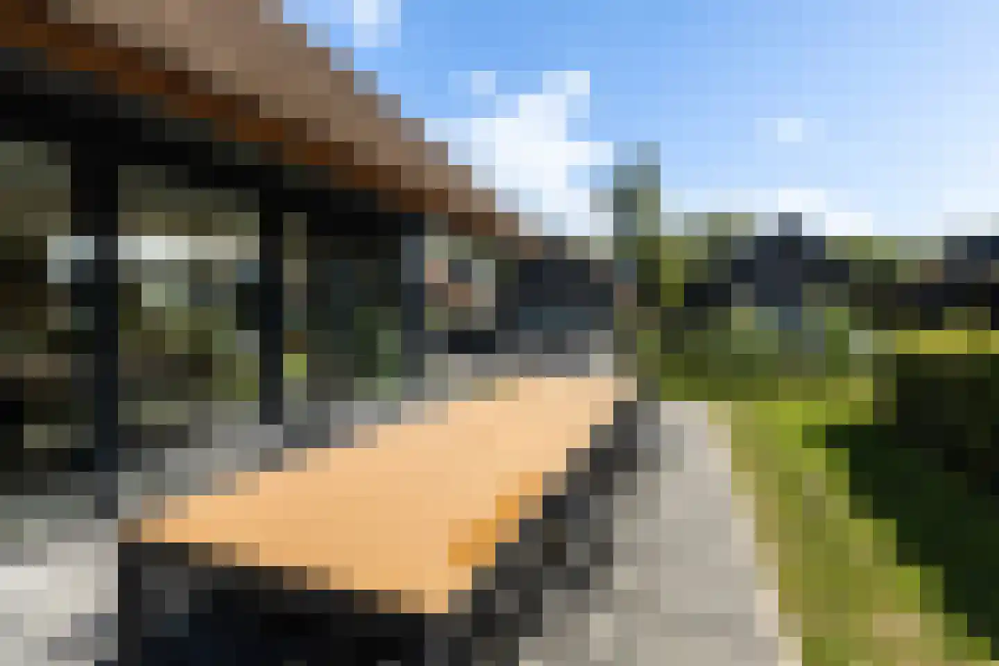 De Burd 25 B 005 Heeg thumbnail 42