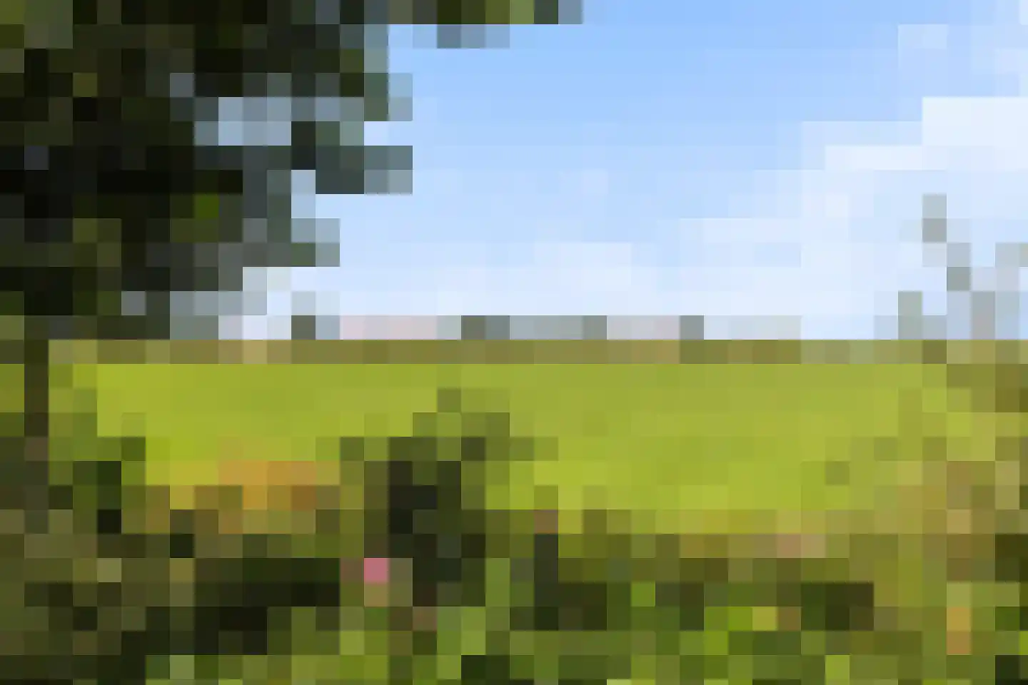 De Burd 25 B 005 Heeg thumbnail 49