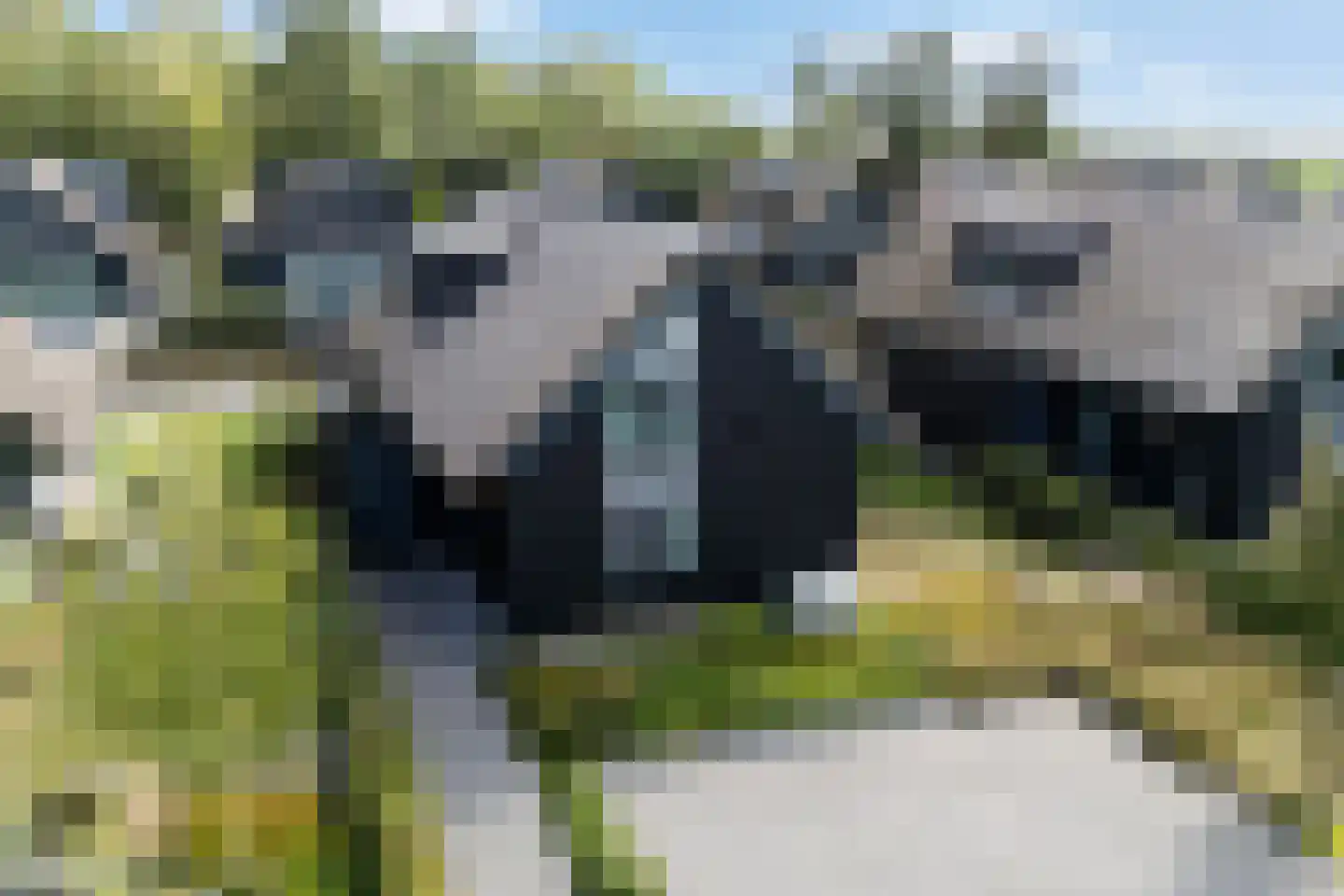De Burd 25 B 005 Heeg thumbnail 55