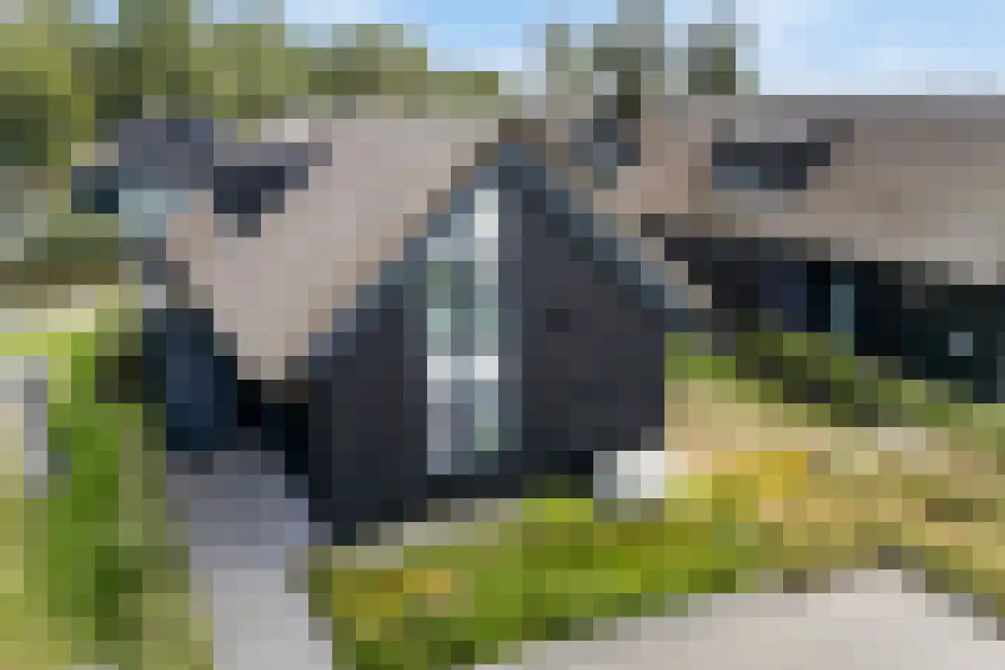 De Burd 25 B 005 Heeg thumbnail 56