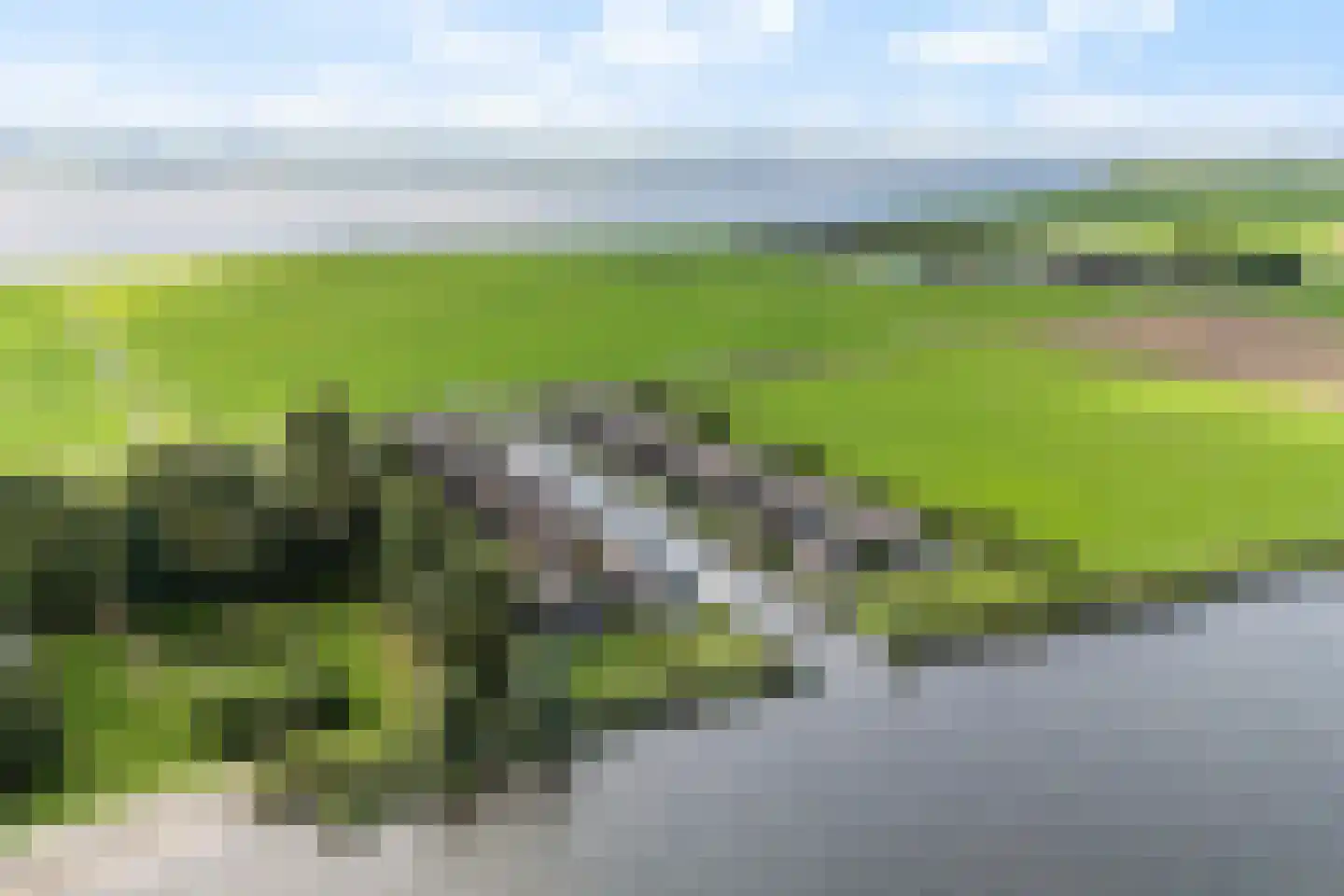 De Burd 25 B 005 Heeg thumbnail 6