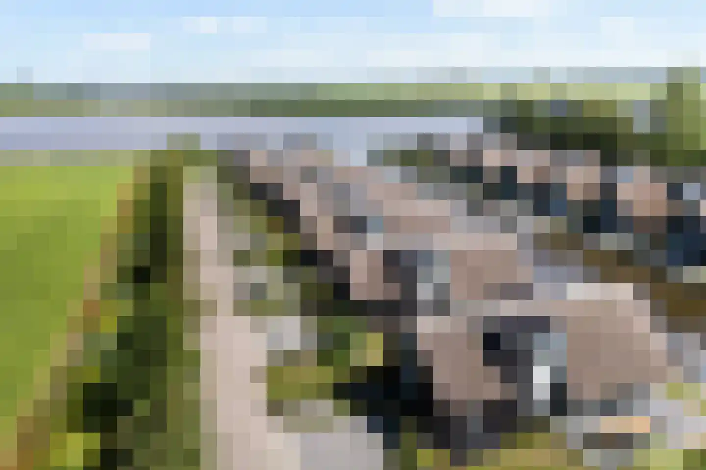 De Burd 25 B 005 Heeg thumbnail 60