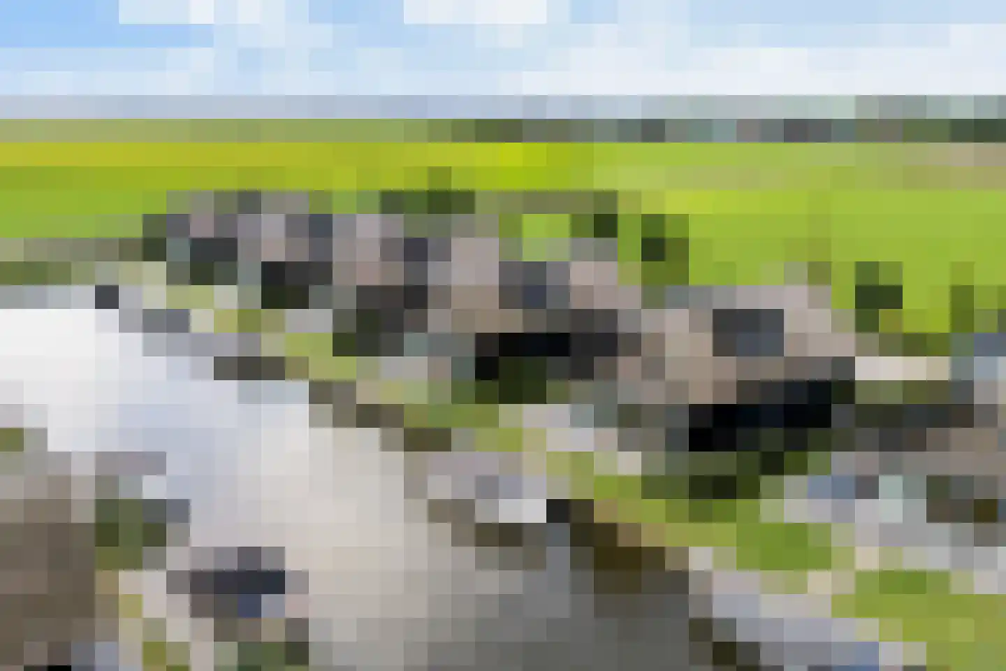De Burd 25 B 005 Heeg thumbnail 62