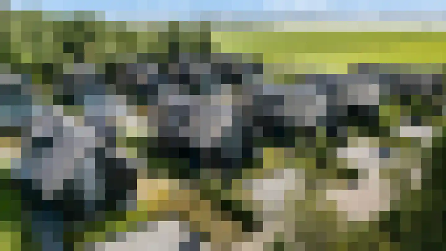 De Burd 25 B 005 Heeg thumbnail 63