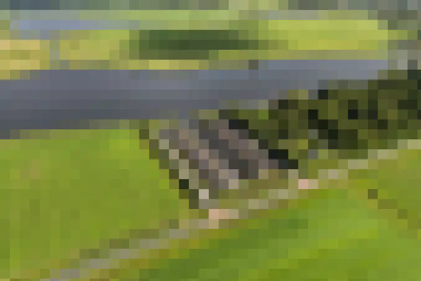 De Burd 25 B 005 Heeg thumbnail 68