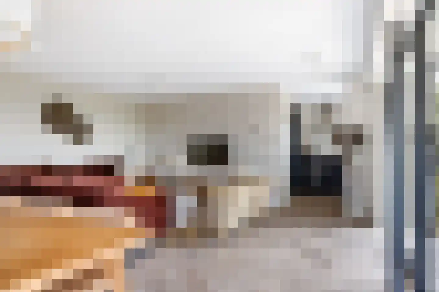 De Burd 25 B 010 Heeg thumbnail 17