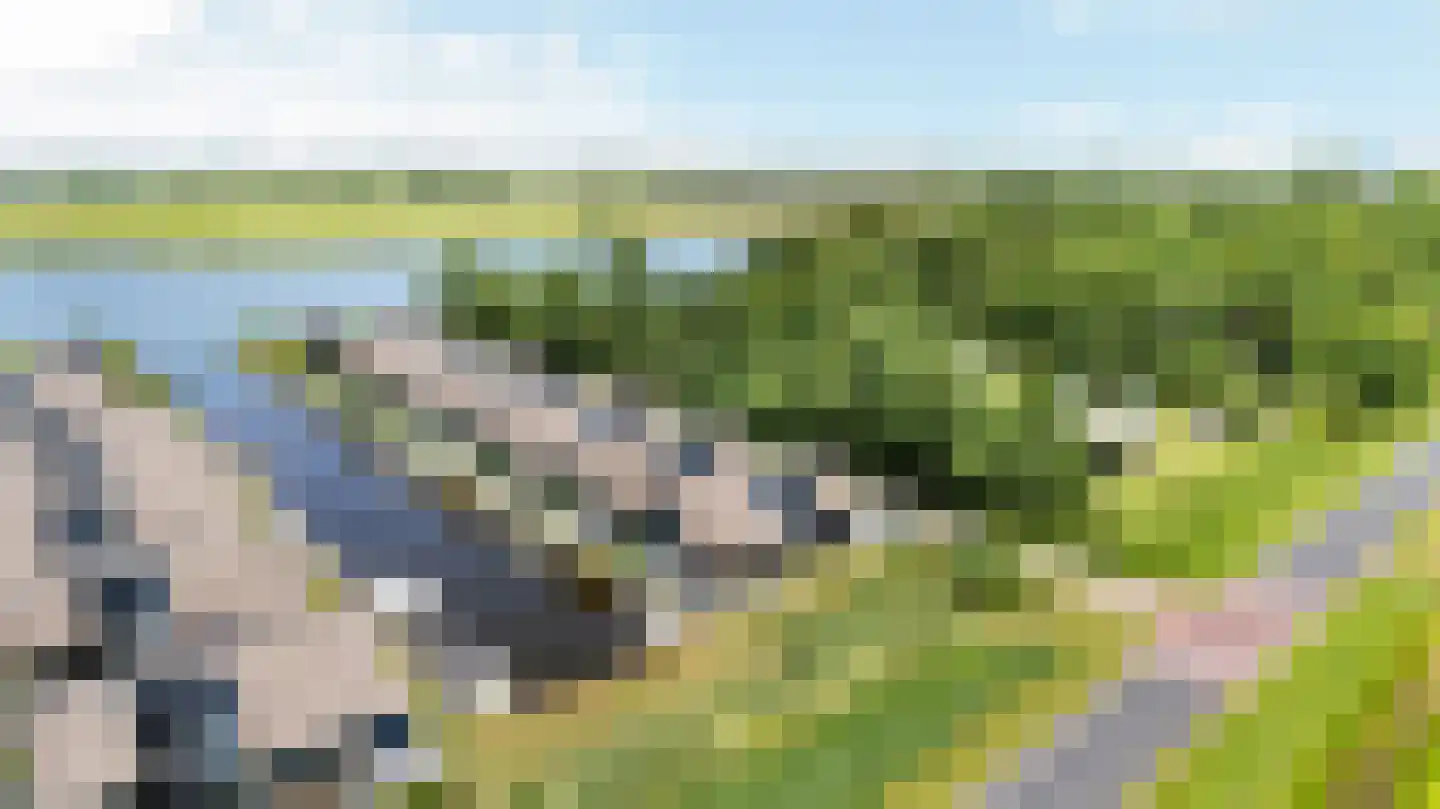 De Burd 25 B 010 Heeg thumbnail 47