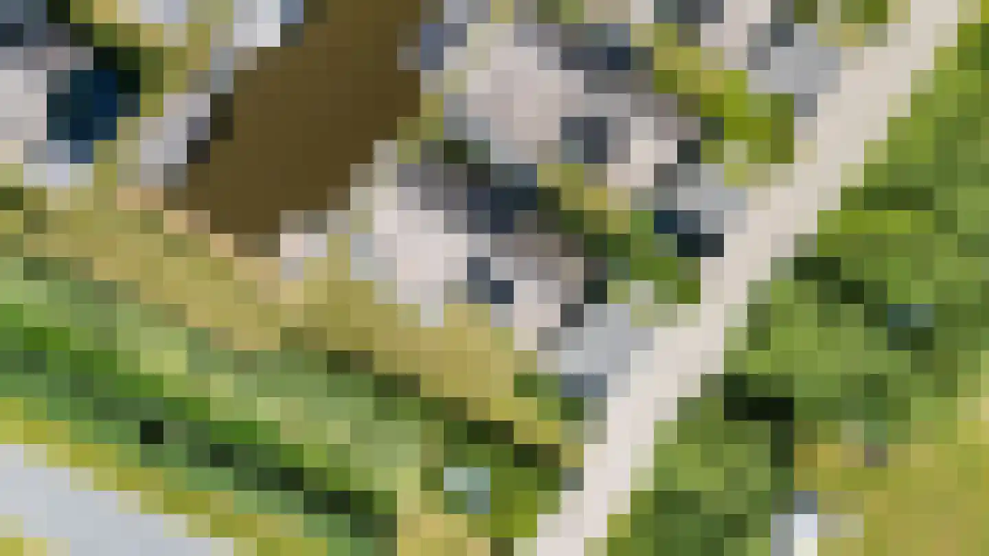 De Burd 25 B 010 Heeg thumbnail 49