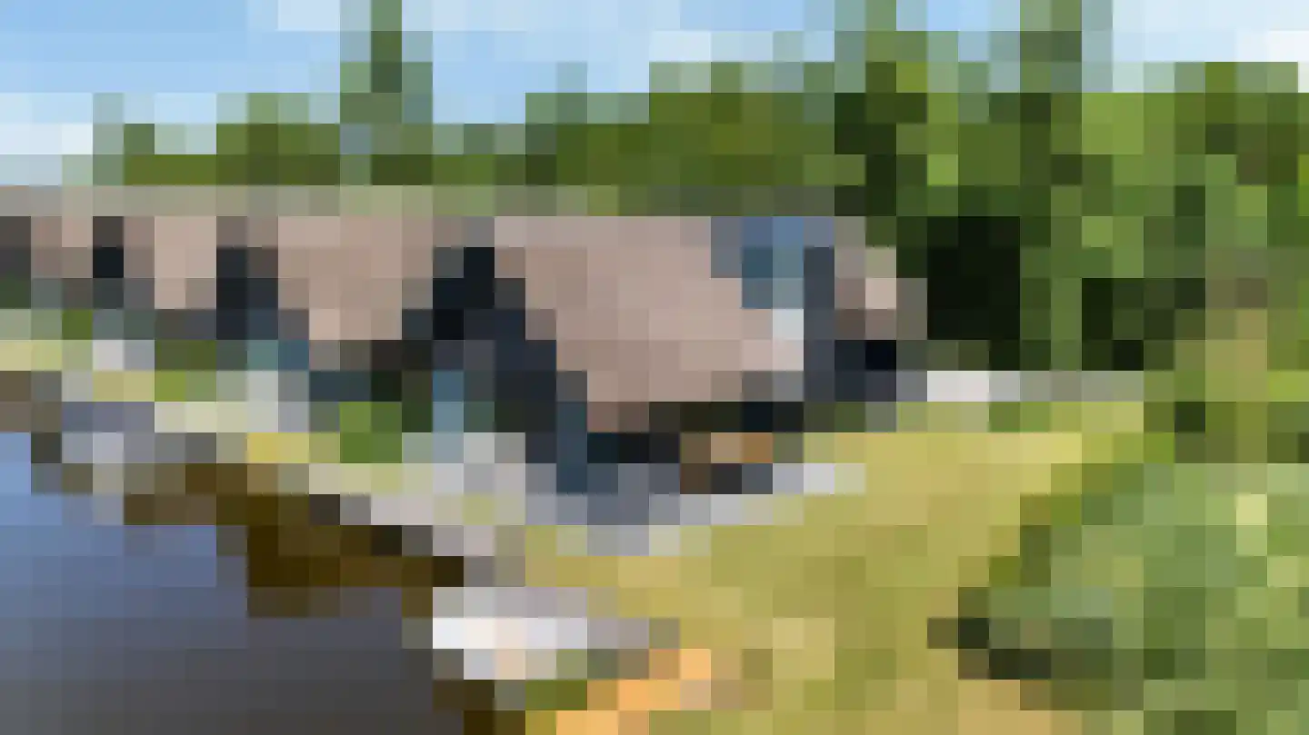 De Burd 25 B 010 Heeg thumbnail 50