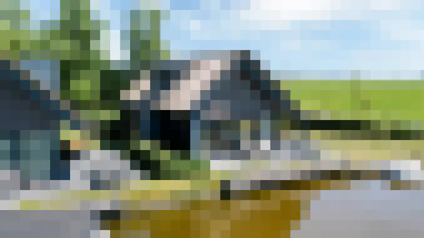 De Burd 25 B 010 Heeg thumbnail 51