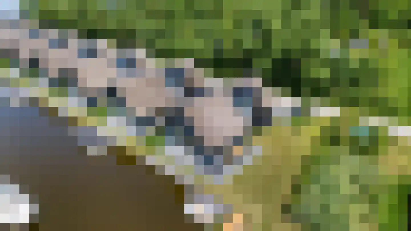 De Burd 25 B 010 Heeg thumbnail 58