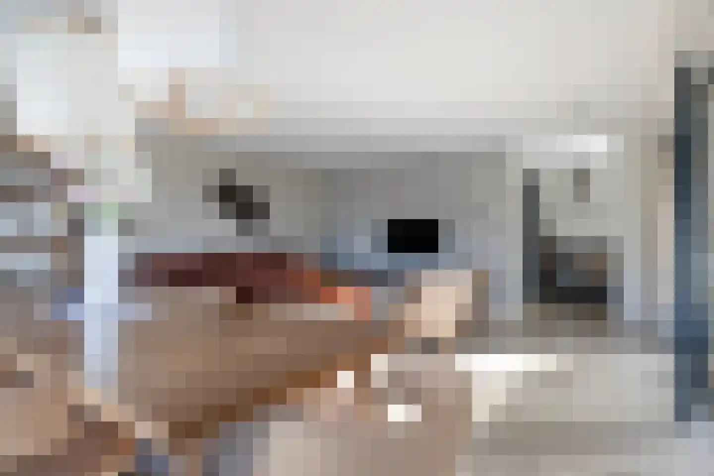 De Burd 25 B 012 Heeg thumbnail 11