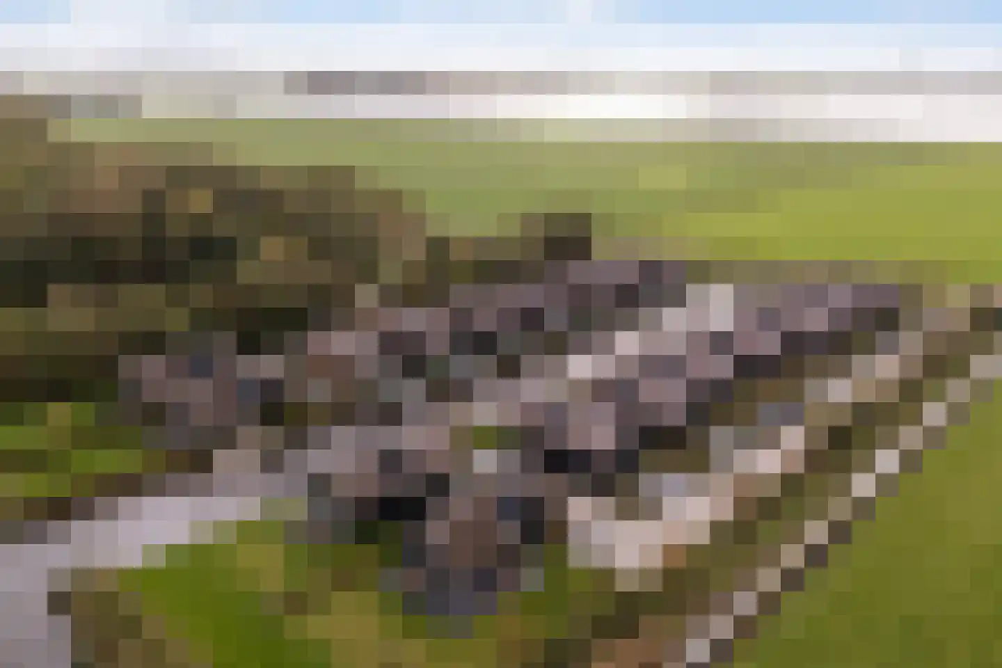 De Burd 25 B 012 Heeg thumbnail 45