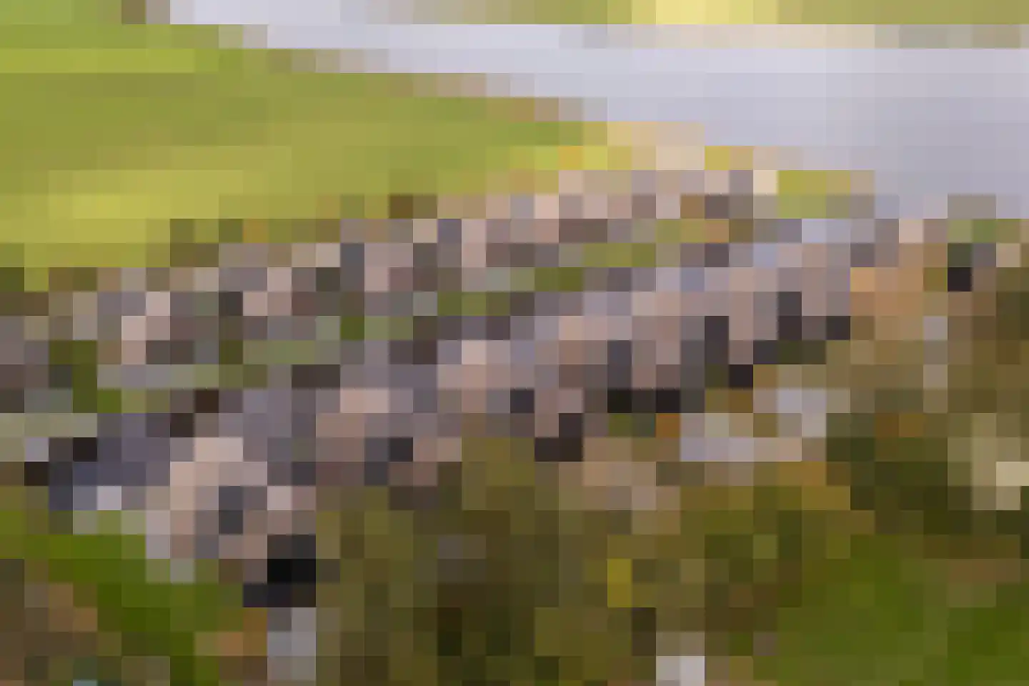 De Burd 25 B 012 Heeg thumbnail 48