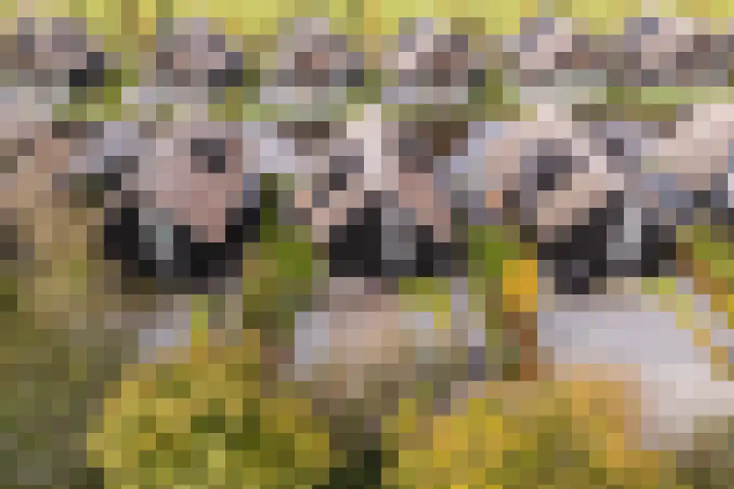 De Burd 25 B 012 Heeg thumbnail 49