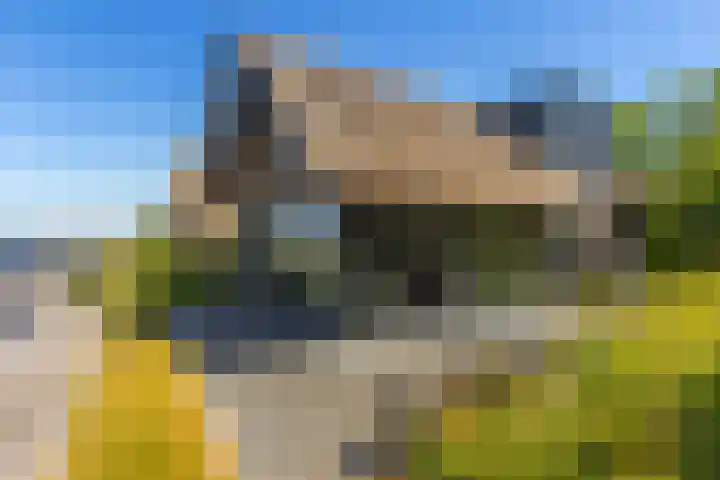 De Burd 25 B 015 Heeg