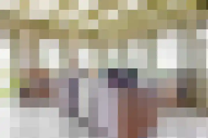 De Burg 1 De Goorn thumbnail 4