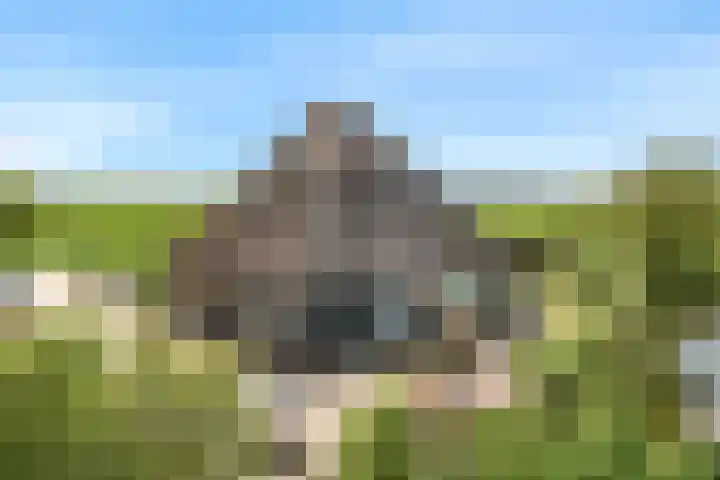 De Burg 1 De Goorn thumbnail 8