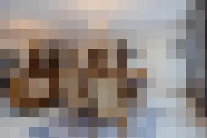 De Burgemeester 2 Oud Gastel thumbnail 18