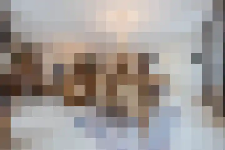 De Burgemeester 2 Oud Gastel thumbnail 19