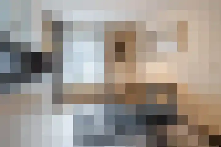 De Burgemeester 2 Oud Gastel thumbnail 20