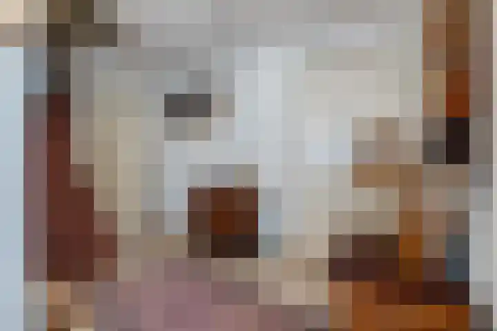 De Burgemeester 2 Oud Gastel thumbnail 26