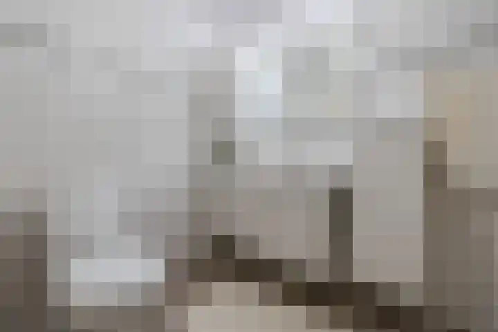 De Burgemeester 2 Oud Gastel thumbnail 34