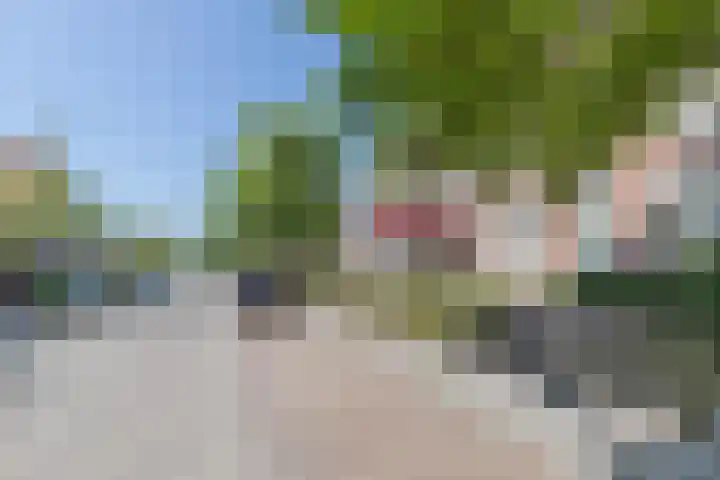 De Burgemeester 4 Oud Gastel thumbnail 11