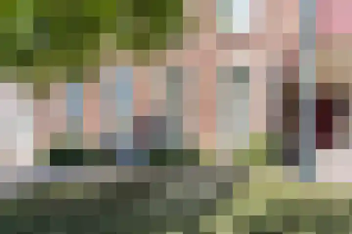 De Burgemeester 4 Oud Gastel thumbnail 13