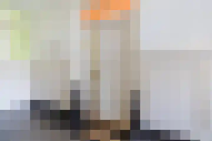 De Burgemeester 4 Oud Gastel thumbnail 15