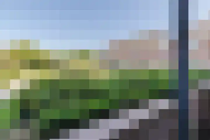 De Burgemeester 4 Oud Gastel thumbnail 44