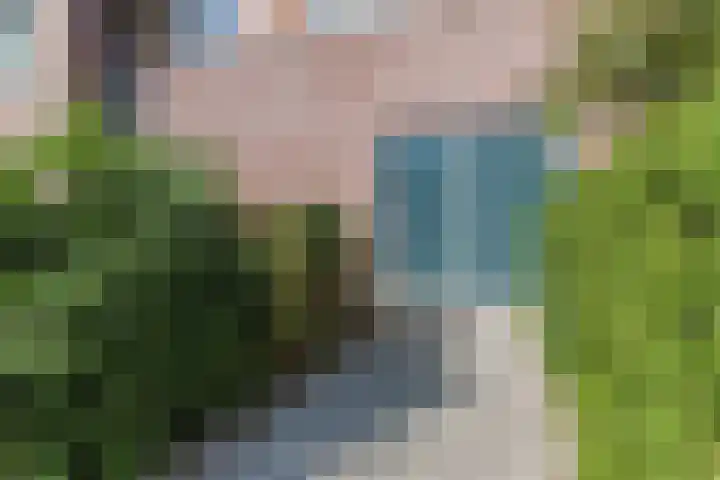 De Burgemeester 4 Oud Gastel thumbnail 57