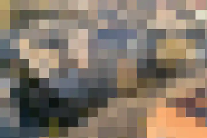 De Burgemeester 4 Oud Gastel thumbnail 7