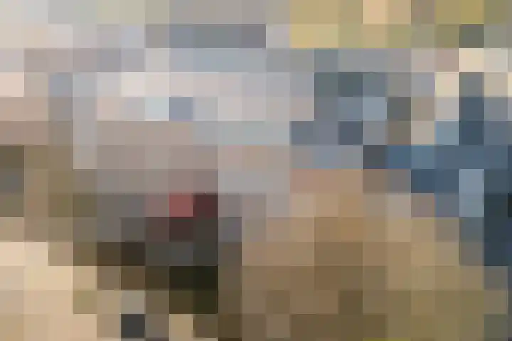 De Burgemeester 4 Oud Gastel thumbnail 8