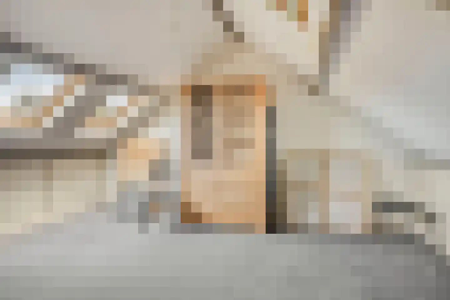 De Burght 15 Geldrop thumbnail 26