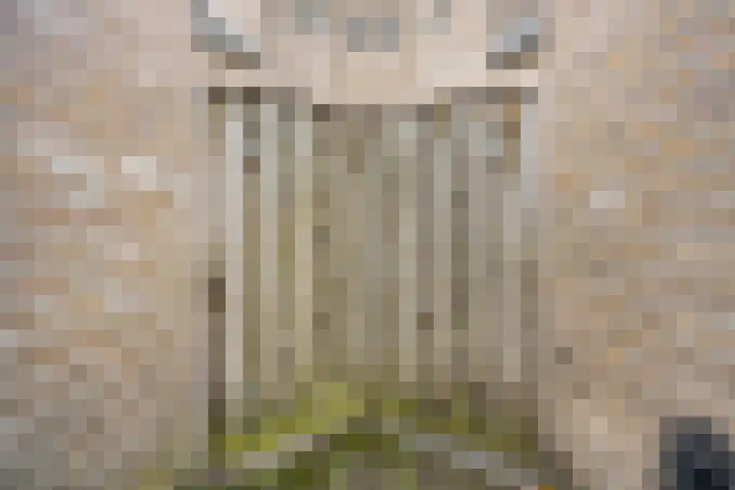 De Burght 15 Geldrop thumbnail 29