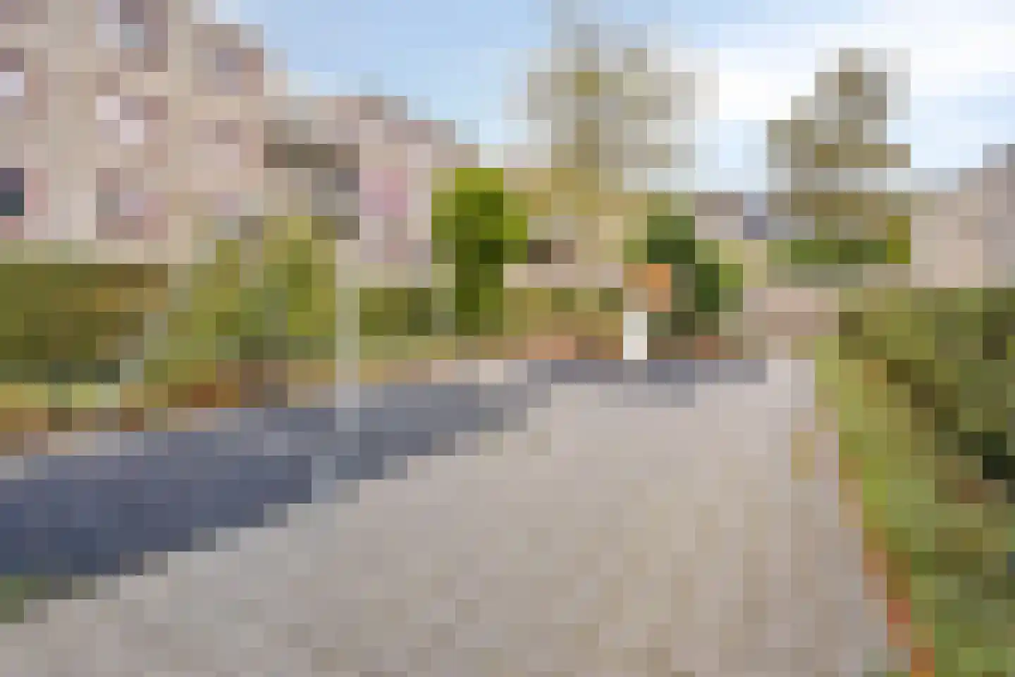 De Burght 15 Geldrop thumbnail 31