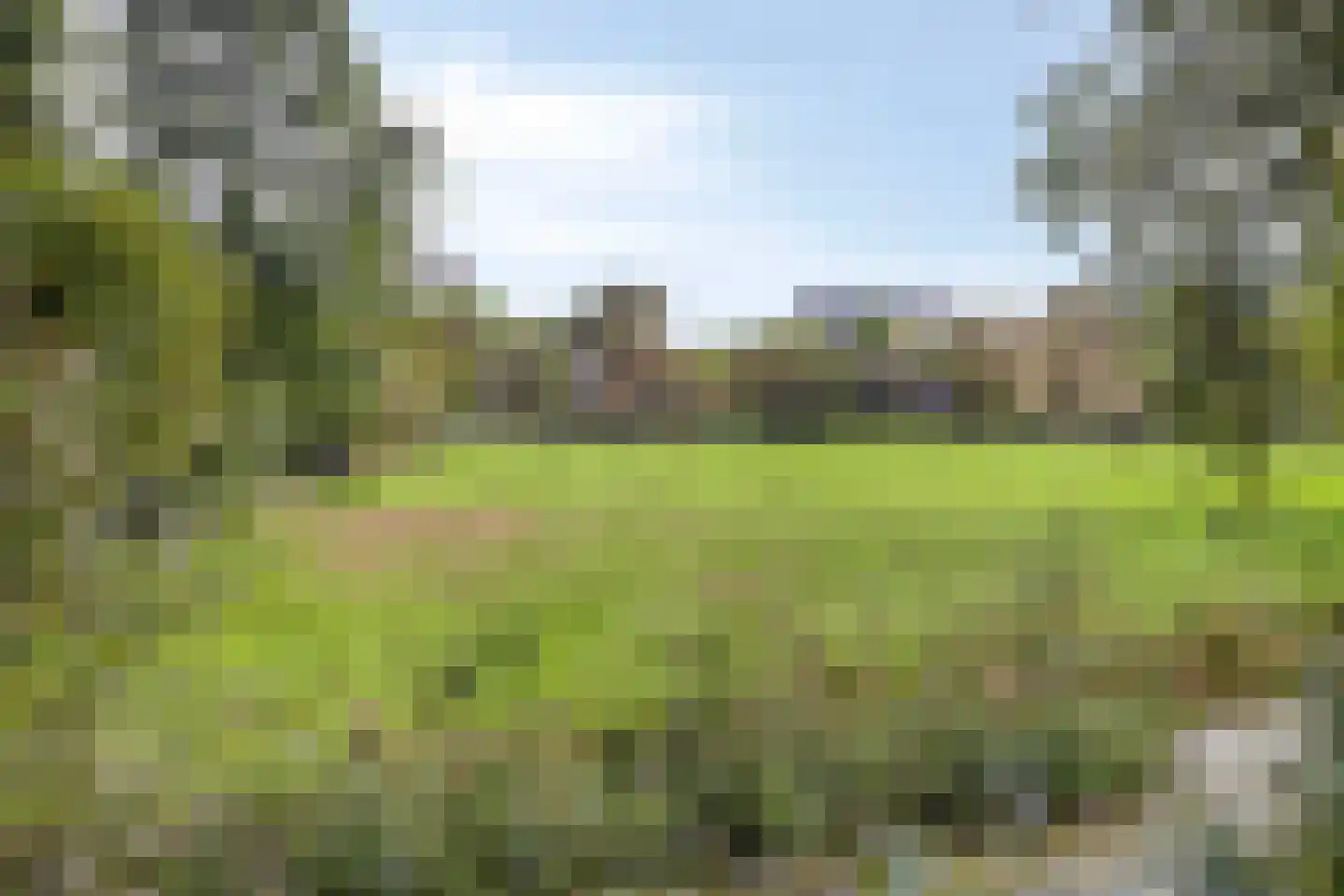De Burght 15 Geldrop thumbnail 34