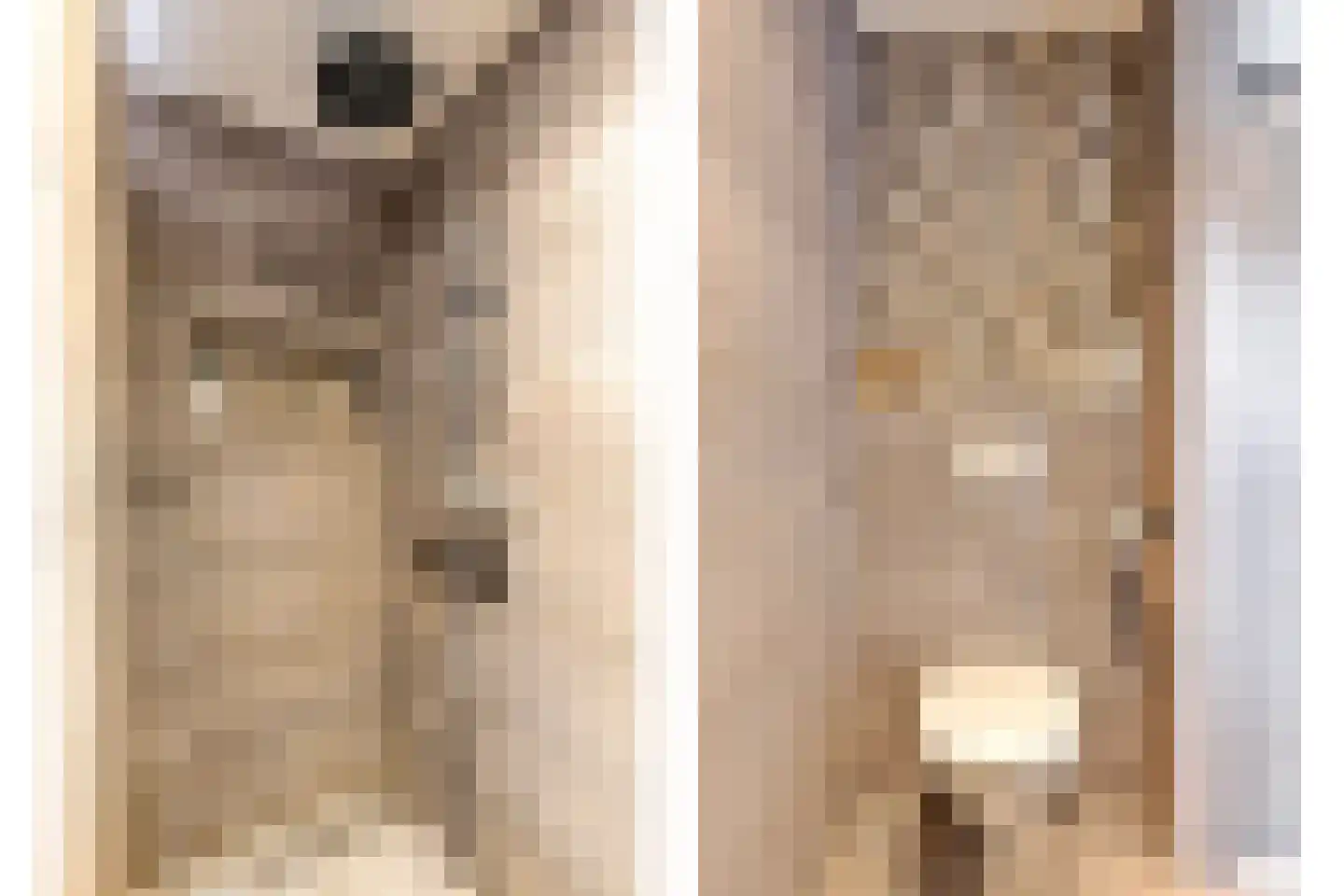 De Burght 181 Geldrop thumbnail 39
